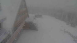 Parkoviště a hlavní vchod