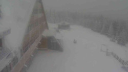 Parkoviště a hlavní vchod