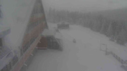 Parkoviště a hlavní vchod