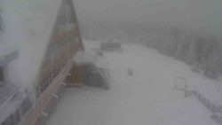 Parkoviště a hlavní vchod