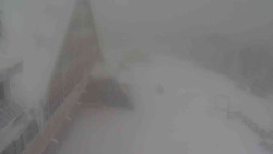 Parkoviště a hlavní vchod