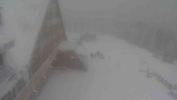 Parkoviště a hlavní vchod