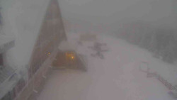 Parkoviště a hlavní vchod