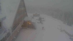 Parkoviště a hlavní vchod