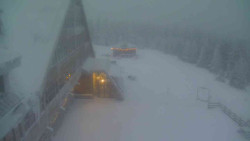 Parkoviště a hlavní vchod