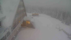 Parkoviště a hlavní vchod