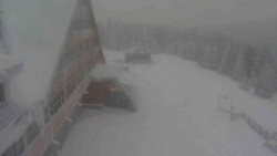 Parkoviště a hlavní vchod