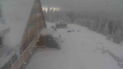 Parkoviště a hlavní vchod