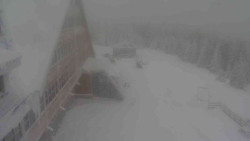 Parkoviště a hlavní vchod