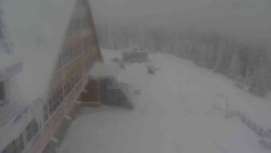 Parkoviště a hlavní vchod