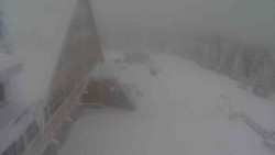 Parkoviště a hlavní vchod