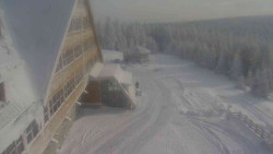 Parkoviště a hlavní vchod