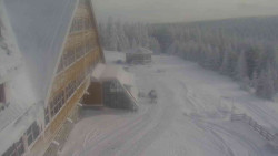 Parkoviště a hlavní vchod