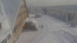 Parkoviště a hlavní vchod