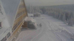 Parkoviště a hlavní vchod