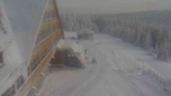 Parkoviště a hlavní vchod