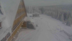 Parkoviště a hlavní vchod