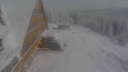 Parkoviště a hlavní vchod