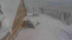 Parkoviště a hlavní vchod