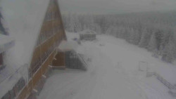 Parkoviště a hlavní vchod