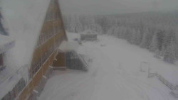 Parkoviště a hlavní vchod