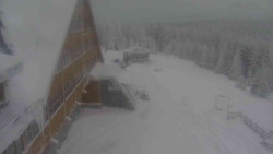 Parkoviště a hlavní vchod