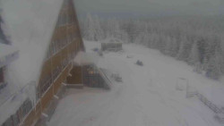 Parkoviště a hlavní vchod