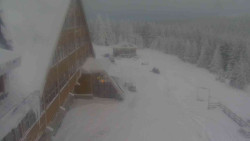 Parkoviště a hlavní vchod