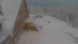 Parkoviště a hlavní vchod