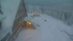 Parkoviště a hlavní vchod