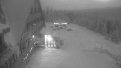 Parkoviště a hlavní vchod