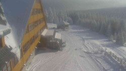 Parkoviště a hlavní vchod