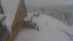 Parkoviště a hlavní vchod