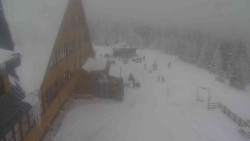 Parkoviště a hlavní vchod