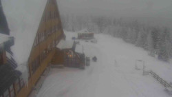 Parkoviště a hlavní vchod