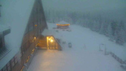 Parkoviště a hlavní vchod