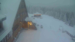 Parkoviště a hlavní vchod