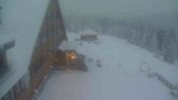 Parkoviště a hlavní vchod