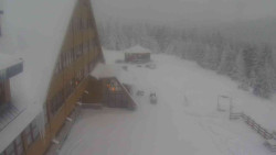 Parkoviště a hlavní vchod