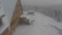 Parkoviště a hlavní vchod