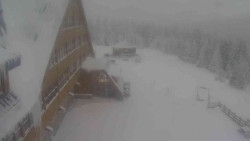 Parkoviště a hlavní vchod