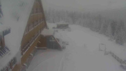 Parkoviště a hlavní vchod