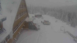 Parkoviště a hlavní vchod