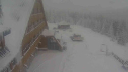 Parkoviště a hlavní vchod