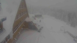 Parkoviště a hlavní vchod