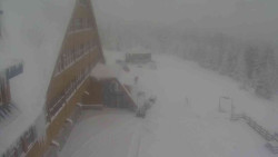 Parkoviště a hlavní vchod