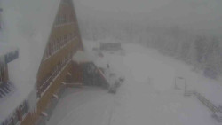 Parkoviště a hlavní vchod