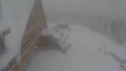 Parkoviště a hlavní vchod