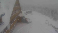 Parkoviště a hlavní vchod