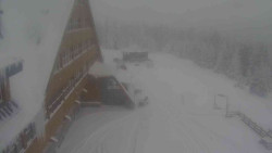 Parkoviště a hlavní vchod